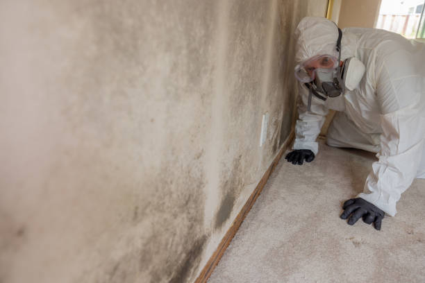 Water damage restoration mold remediation in Hallam, PA